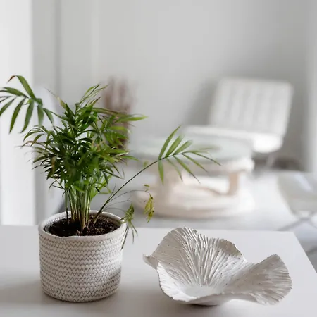 Brand New Spotless 1Br 5 Min Walk To Center Garden Balcony Ehomes Greece Appartement Kalamáta